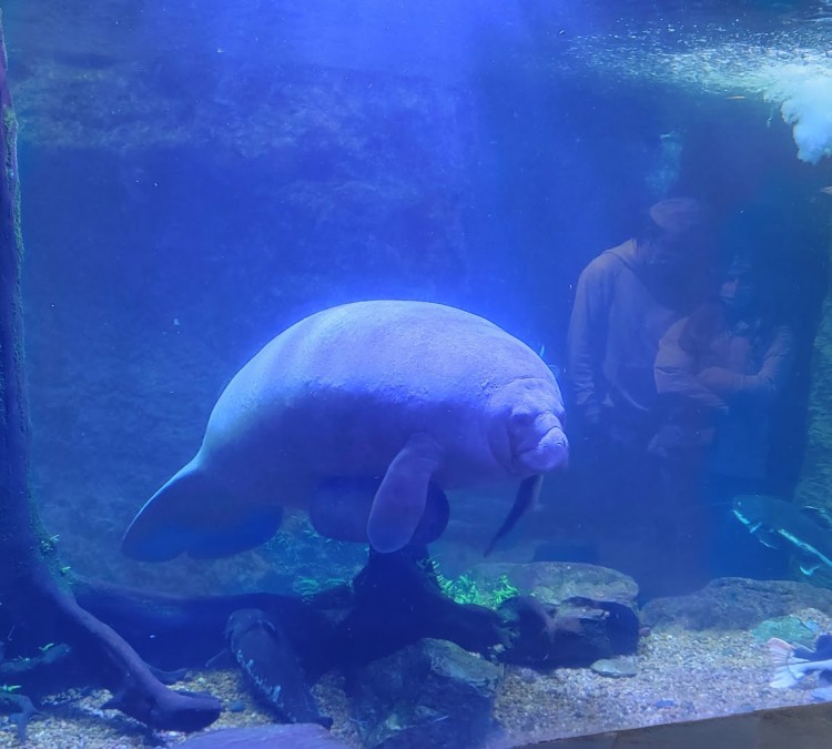 The Dallas World Aquarium (Dallas,&nbspTX)